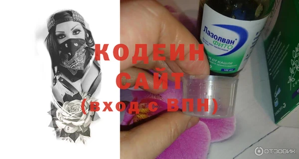 хмурый Видное
