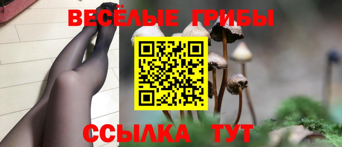 Псилоцибиновые грибы MAGIC MUSHROOMS  Павловский Посад  магазин продажи наркотиков  Галлюциногенные грибы Psilocybe 